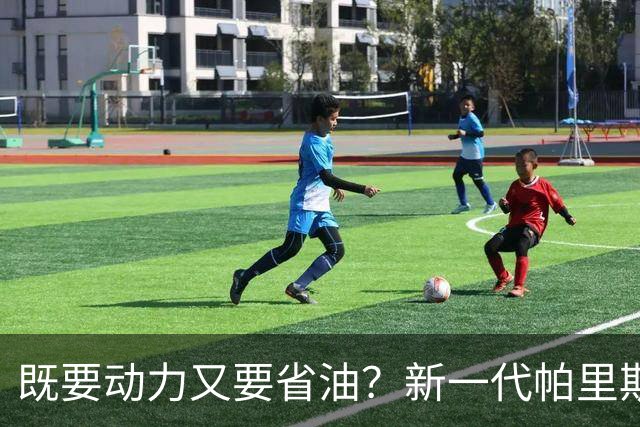 既要动力又要省油？新一代帕里斯帝算是把家庭需求摸透了